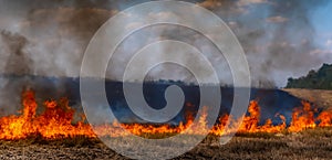 A fire on the stubble of a wheat field after harvesting. Enriching the soil with natural ash fertilizer in the field after