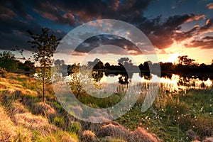 Fire sunset on wild lake