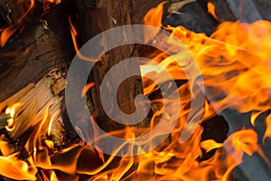 Fire texture close-up background burning log vertical design bright with long tongues sparks