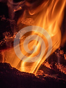 Fire texture, flame abstract background