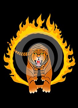 Fire tiger