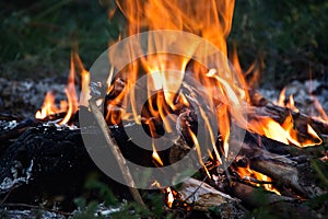 Fire tongues of flame