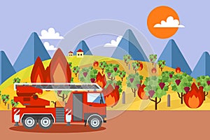 Fire truck at burning vineyard, wildfire disaster emergency situation, vector illustration