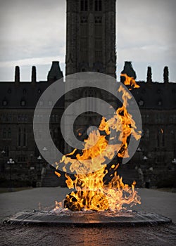 Fire and Water at Ottawa Parliament Hill memorial