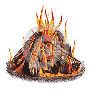 Fire on a white background. Burning wood. photo