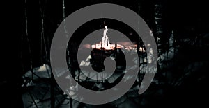 Fire in the winter forest at night