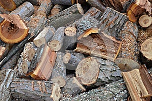 Fire wood