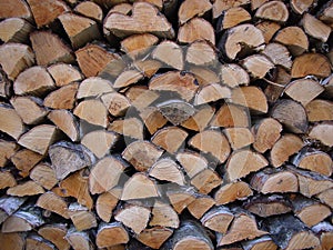 Fire wood