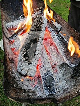 Fire wood for barbque photo