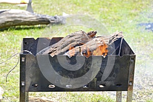 Fire on wood for BBQ in Central Asia on holiday