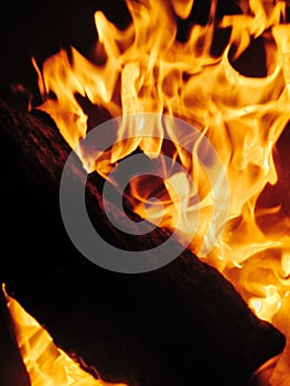 Fire - wood burning