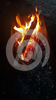Fire wood is burning bonfire barbecue