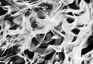 Fire. Wood burning in the fire. Orange flame. Tongue of flame..black and white image