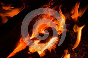 Fire on wood. Coal. Grill.