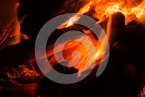 Fire on wood. Coal. Grill.