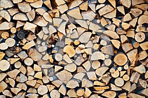 Fire wood for fire place