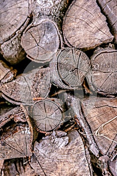 Fire Wood Logs Background. Dry Trunks of Trees.