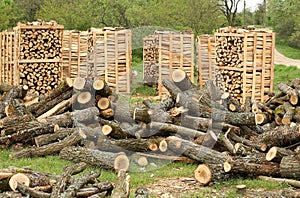 Fire wood pallets