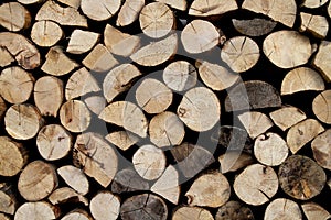 Fire wood pile