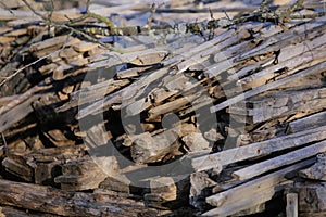 Fire wood pile