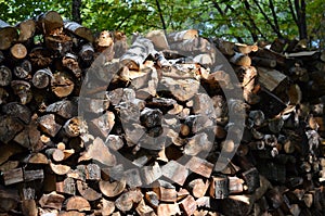 Fire wood stack on sunny day cut wood pattern