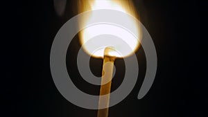 Fire of a Wooden Match in Complete Darkness, Disappears from the Flame on a Black Background, Lighting and Burning Until