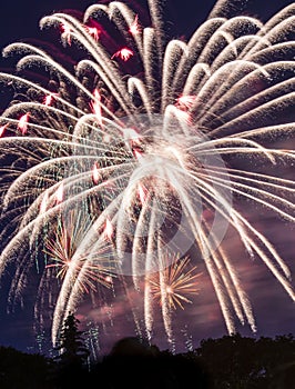 Fire works celebration