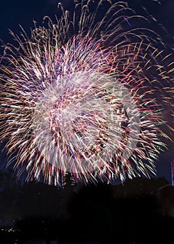 Fire works celebration