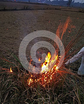 Fire works in peddy field