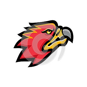 Firebird Head Mascot