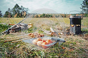 Firebox stove and fried meat. Picnic fishing.