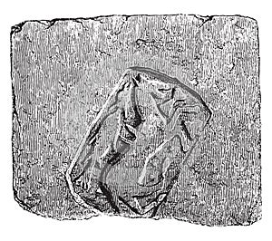 Fireclay tile very hard, found in excavations of the abbey of Sainte Colombe les Sens, Yonne, Ninth century, vintage engraving photo