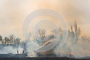 Firefighter battle with the wildfire. Firefighters are training. Firemen are using foam or water in fire fighting operation