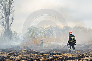 Firefighter battle with the wildfire. Firefighters are training. Firemen are using foam or water in fire fighting operation