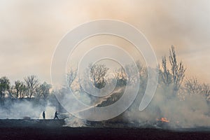 Firefighter battle with the wildfire. Firefighters are training. Firemen are using foam or water in fire fighting operation