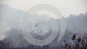 Firefighter helicopter dropping water from water bucket on forest fire