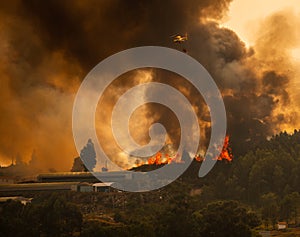 Firefighter Helicopter fighting against a Forest Fire near to a Greenhouse during Day in Povoa de Lanhoso.