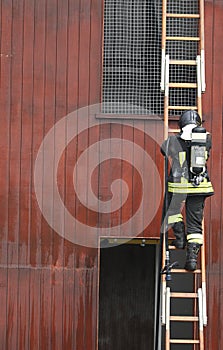Firefighter while performing an operation on the wooden ladder