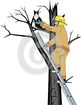 Firefighter Rescuing Cat Vector Illustration