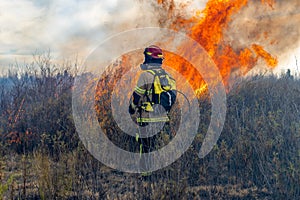 Firefighter trying to put out a forest fire