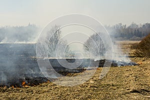 Firefighters battle a wildfire