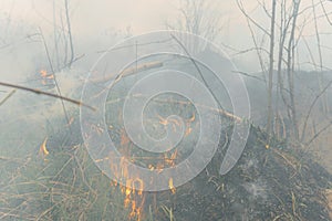 Firefighters battle a wildfire. Ecological disaster concept. Australia. Brazil