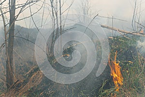 Firefighters battle a wildfire. Ecological disaster concept. Australia. Brazil