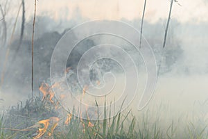 Firefighters battle a wildfire. Ecological disaster concept. Australia. Brazil