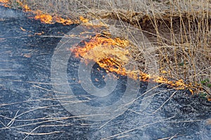 Firefighters battle a wildfire. Ecological disaster concept. Australia. Brazil