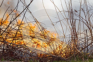 Firefighters battle a wildfire. Ecological disaster concept. Australia. Brazil