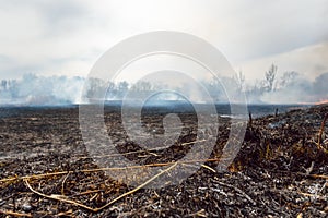 Firefighters battle a wildfire. Ecological disaster concept. Australia. Brazil