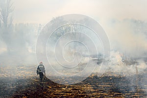 Firefighters battle a wildfire. firefighters spray water to wildfire. Australia bushfires, The fire is fueled by wind and heat