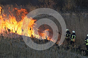 Firefighters battle a wildfire in spring.