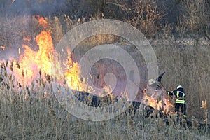 Firefighters battle a wildfire in spring.